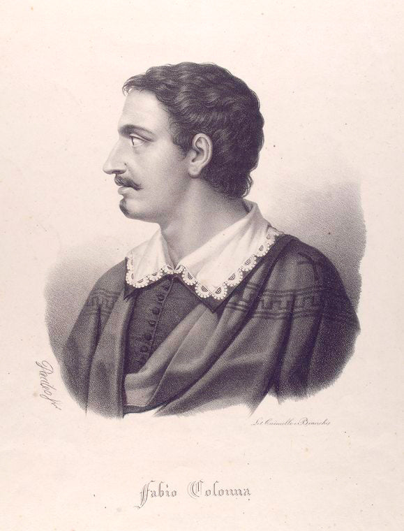 Fabio Colonna