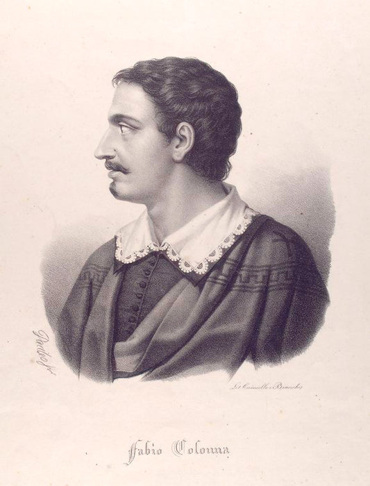 Fabio Colonna