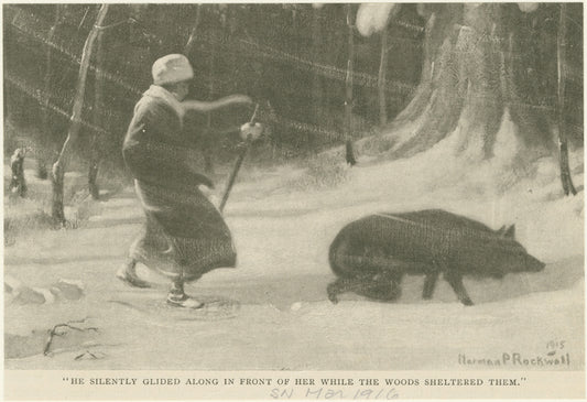 He silently glided along in front of her while the woods sheltered them."