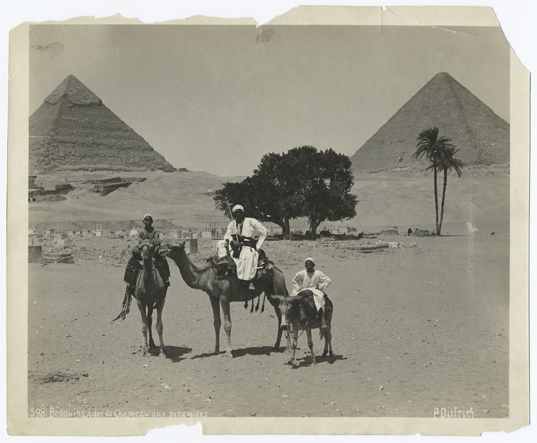 Bedouins à dos de chameau aux pyramides.