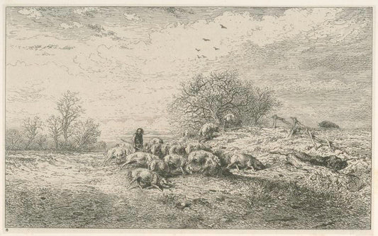 Paysage : troupeau de porcs.