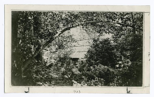 Muir's Cabin in the Yosemite, courtesy of William F. Bade, Berkeley, Cal.