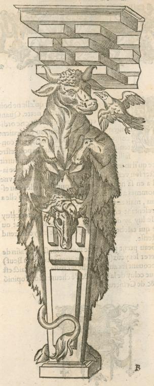 Print illustrating Du beuf.