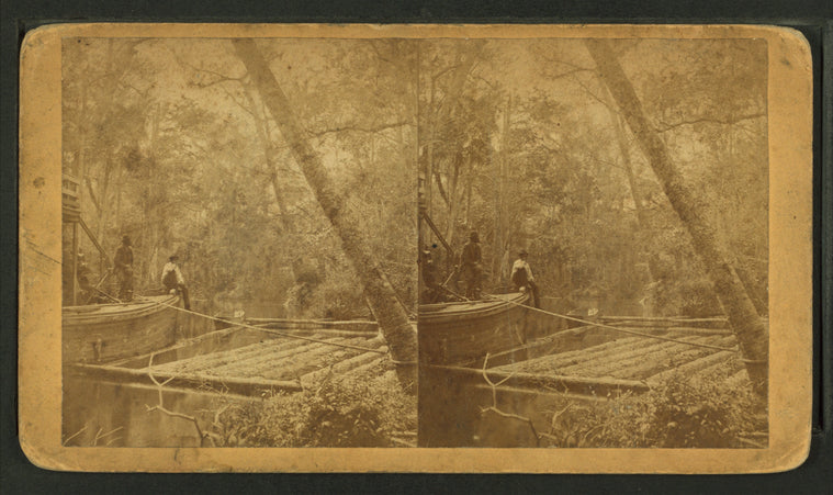 A Fine view of the Oklawaha River at Palmetto Landing.
