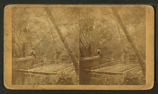 A Fine view of the Oklawaha River at Palmetto Landing.