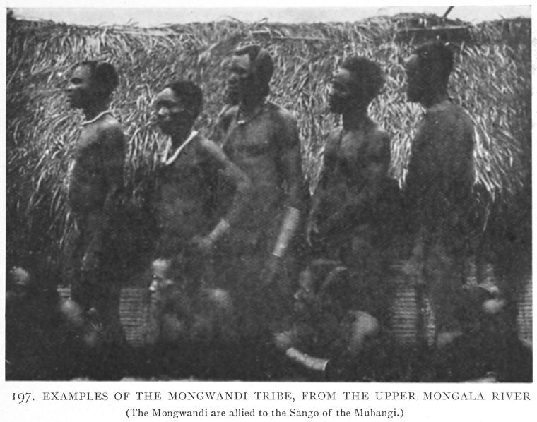 Examples of the Mongwandi tribe, fromthe Upper Mongala River. [The Mongwandi are allied to the Sango of the Mubangi.]