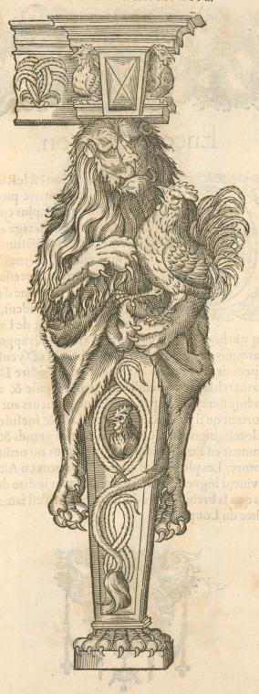 Print illustrating Du lion.
