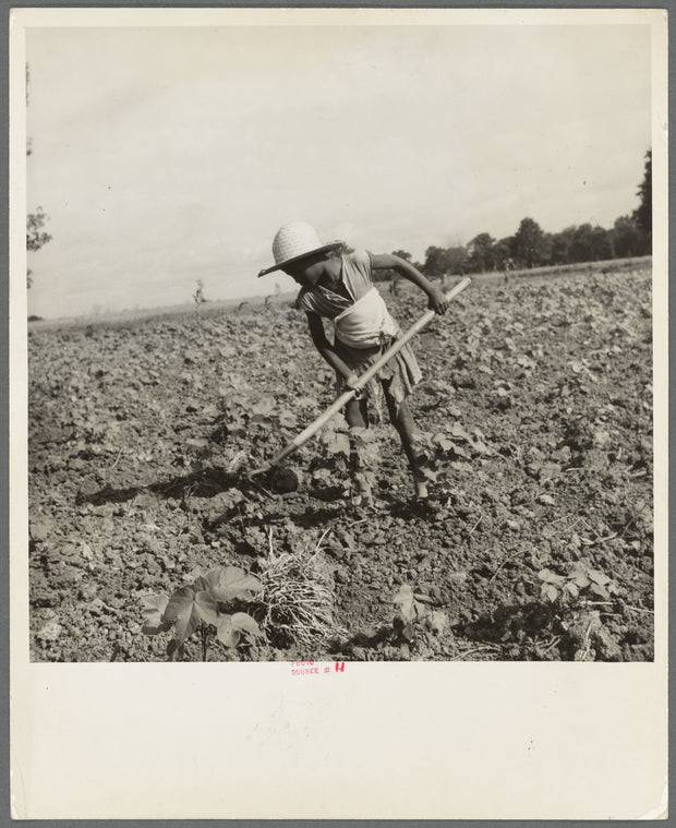 Child of impoverished Negro tenant family working on farm. Alabama