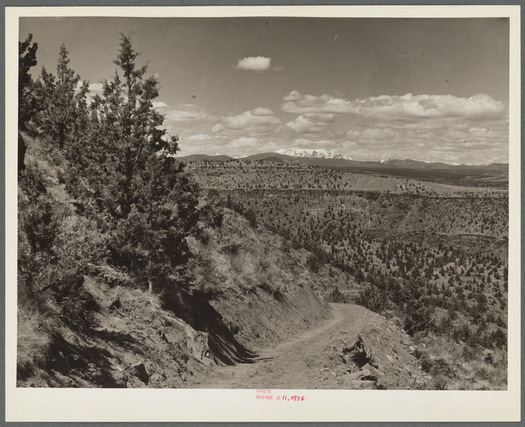 A stock trail built by the Resettlement Administration leading to the Deschutes River. Peaks of the Cascades in the distance. Oregon