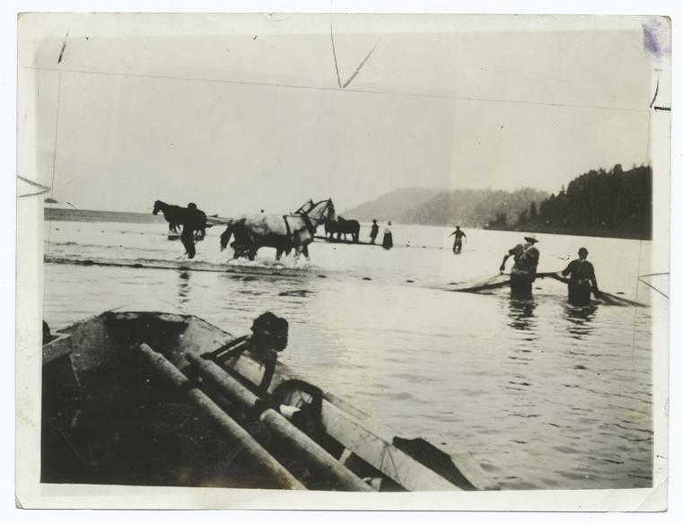 Hauling a Salmon Seine in Columbia.