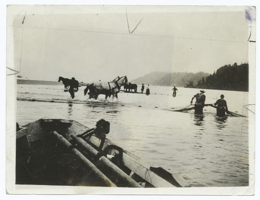 Hauling a Salmon Seine in Columbia.