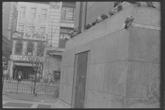 New York, NY