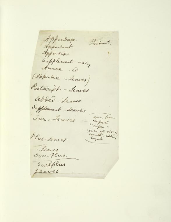 Leaf mounted with one holograph manuscript written on one scrap of paper: Appendage
