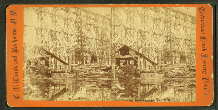 Sawyerman's Saw Mill.