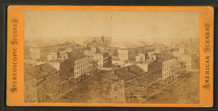 Bird's eye view of Savannah.