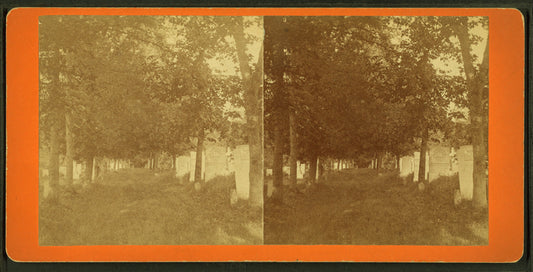 Old German graveyard.