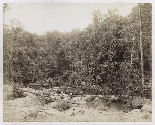 Gold prospecting; Chinese Creek; No. 45.