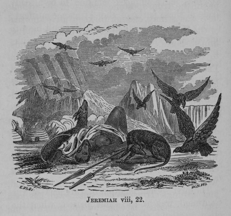 Jeremiah viii, 22