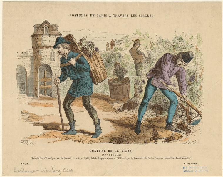 Culture de la vigne (XVe siècle)