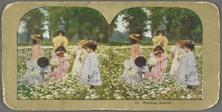Plucking Daisies