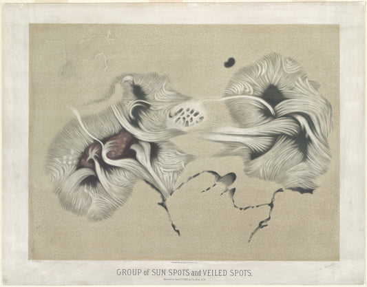Group of sun spots and veiled spots: Observed on June 17th 1875 at 7 h. 30 m. A.M.