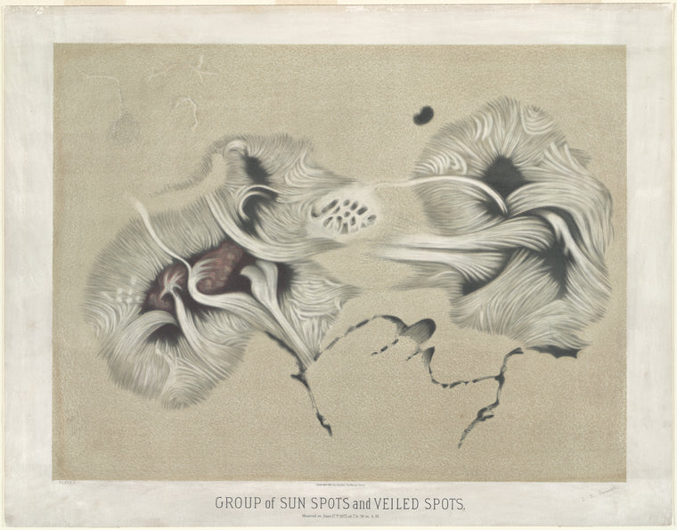 Group of sun spots and veiled spots: Observed on June 17th 1875 at 7 h. 30 m. A.M.