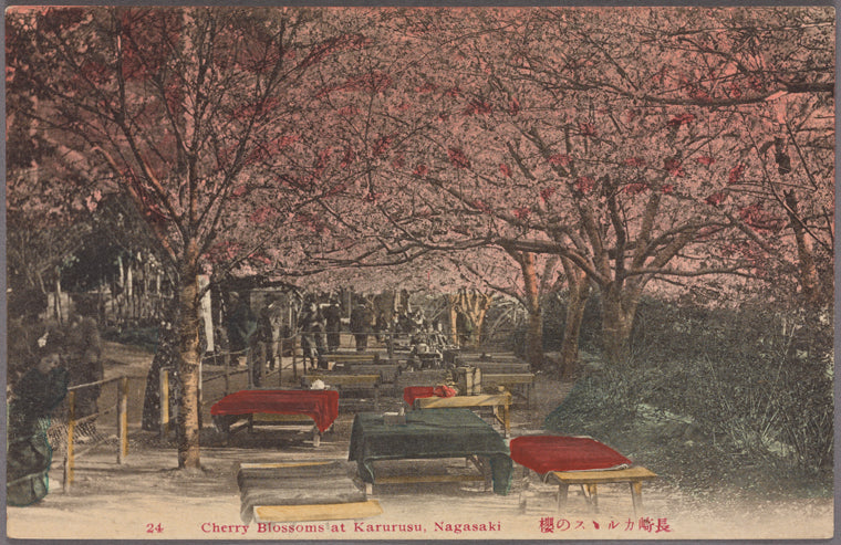 Cherry blossoms at Karurusu, Nagasaki.