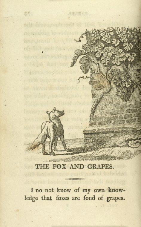 The fox and the grapes