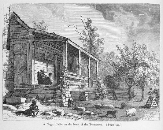 A Negro cabin on the bank of the Tennessee