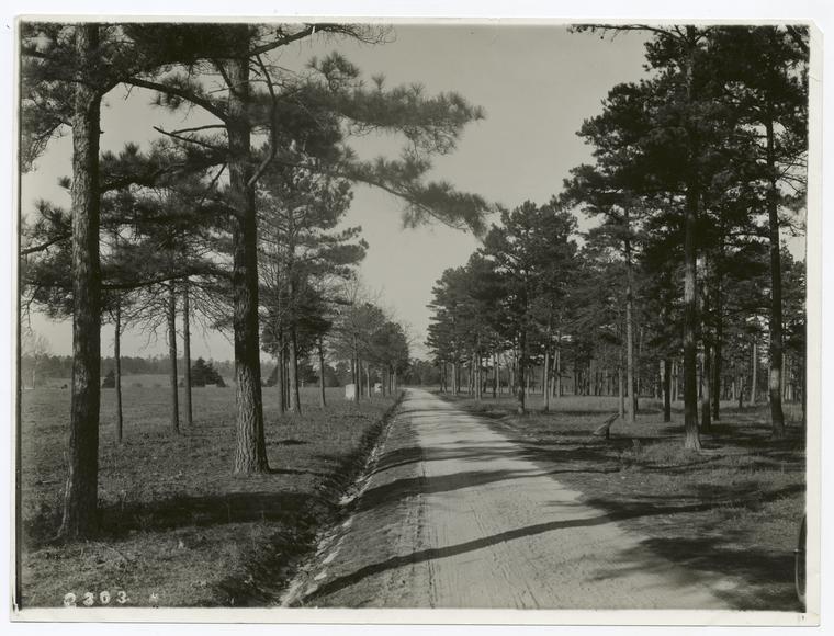 Looking north close to Snodgrass Hill, Chickamauga, Tenn.