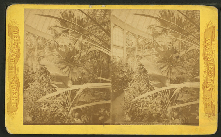 Botanical Gardens, Washington, D.C.