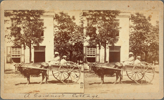 A Gardner's Cottage