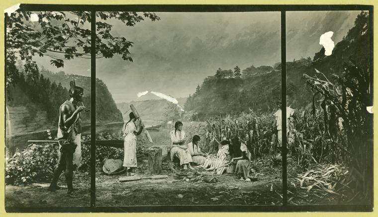 The Harvest