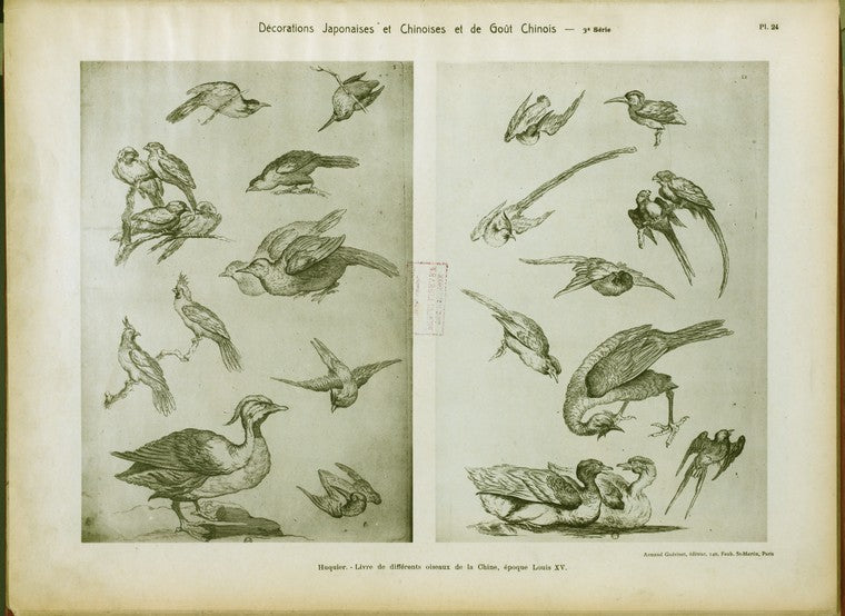 Huquier : livre différents oiseaux de la Chine, époque Louis XV.