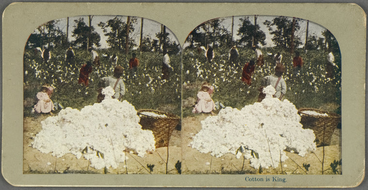 Cotton is King