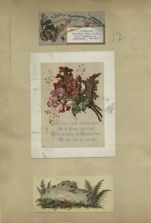 Christmas and trade cards depicting butterflies, flowers, plants, a rock and a fly