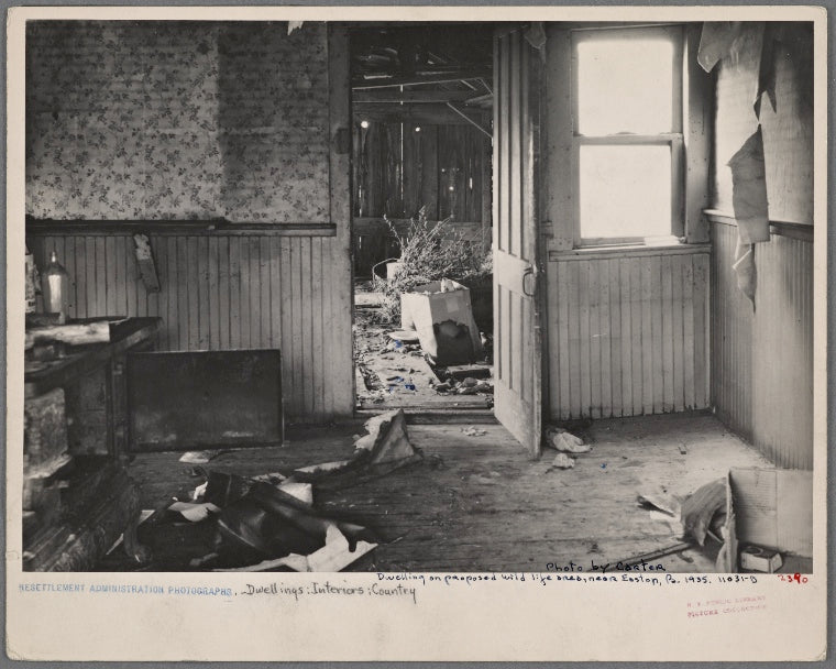 Dwelling, uninhabited, on proposed wild life area near Easton, Pennsylvania.