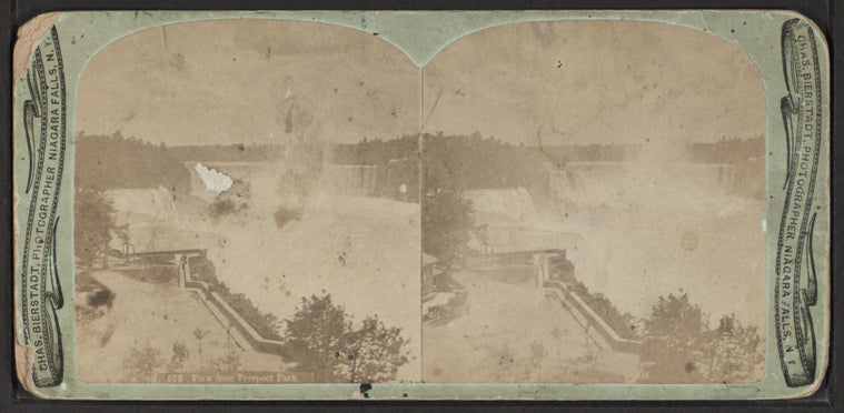 View from Prospect Park.