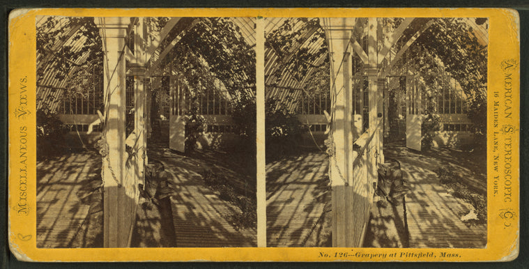 Grapery at Pittsfield, Mass.