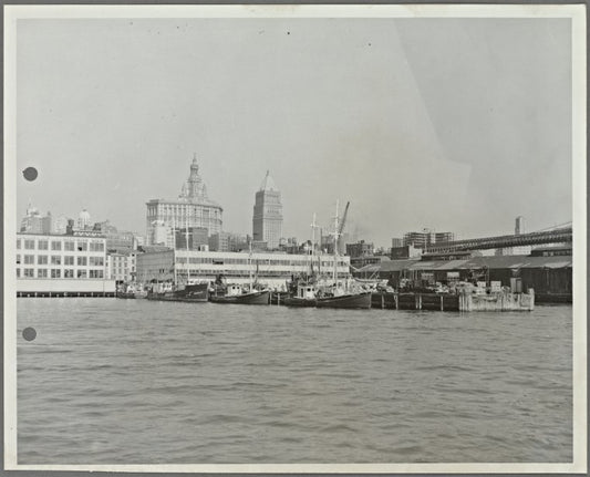 Open Pier on East River