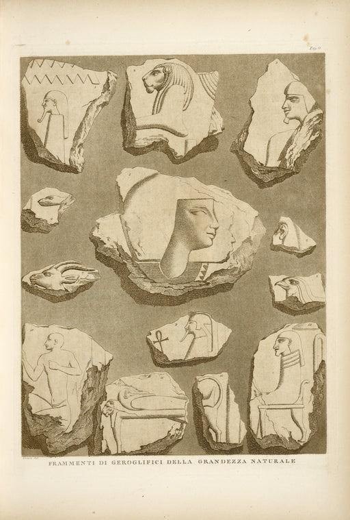 Frammenti di geroglifici della grandezza naturale.