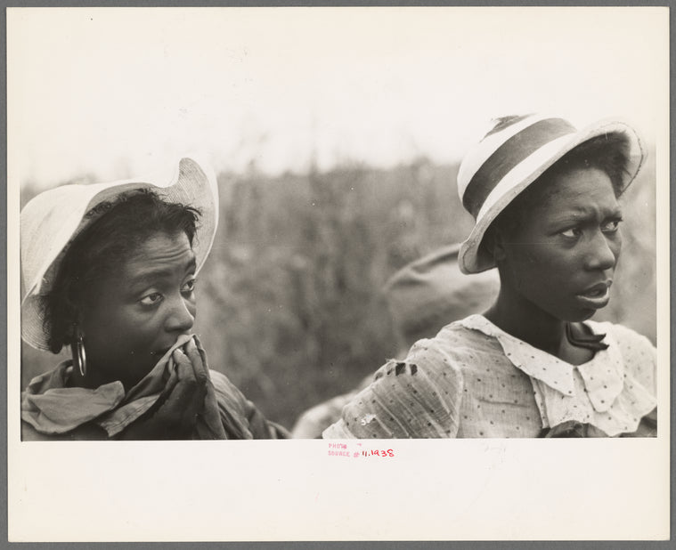 Negro day laborers employed in picking cotton at Lake Dick Project, Arkansas