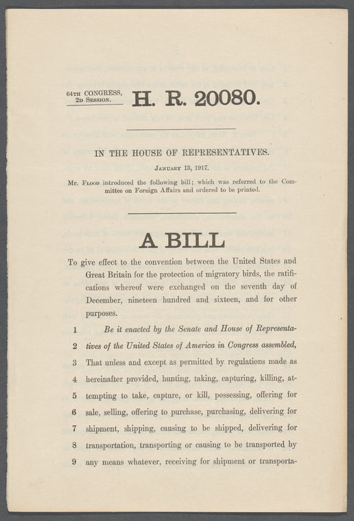 H.R. 20080
