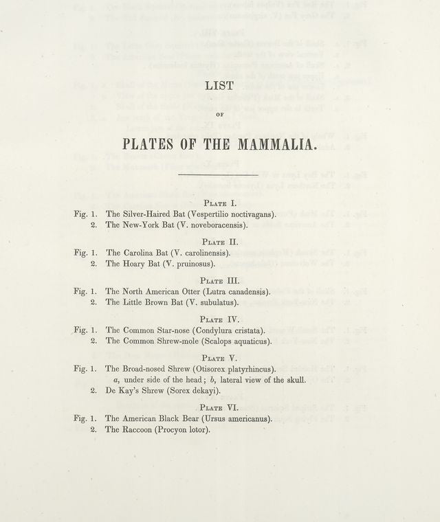 Zoology of New York