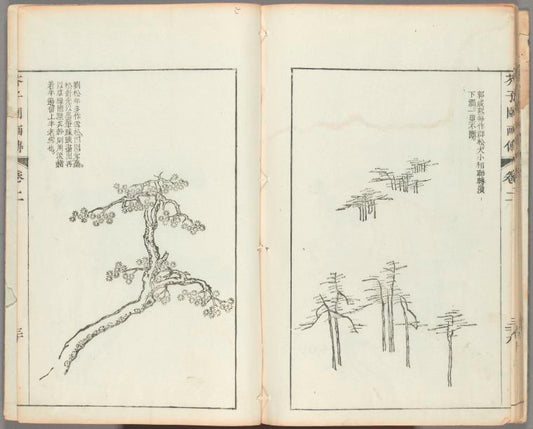 Kaishien gaden = The mustard seed garden painting manual.