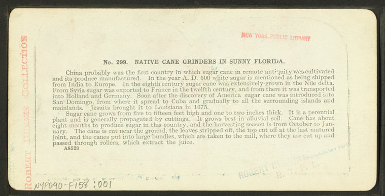 Native cane grinders in sunny Florida.