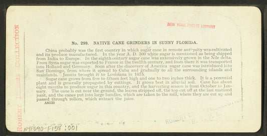 Native cane grinders in sunny Florida.