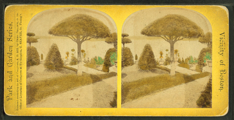 View of a garden with topiary work.