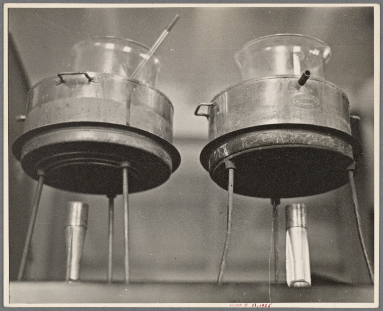 Fermentation laboratory. Prince Georges County, Beltsville, Maryland.