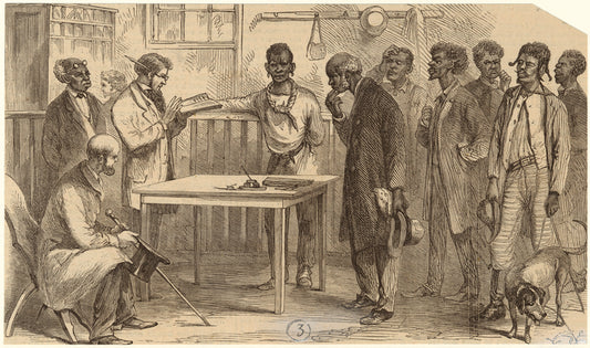 Voter registration, Macon, Ga